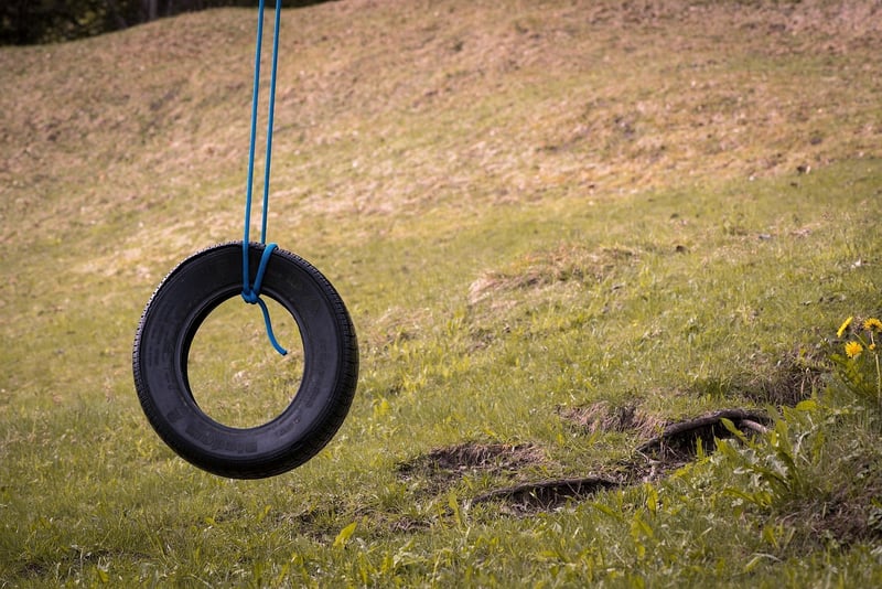 Tire Swing